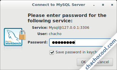 mysql workbench password