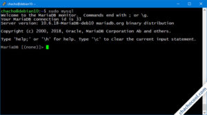 debian mariadb