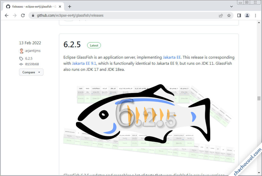 Cómo instalar GlassFish en Debian 11 Bullseye ️ [2024]